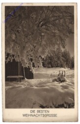 Verschneiter Baum