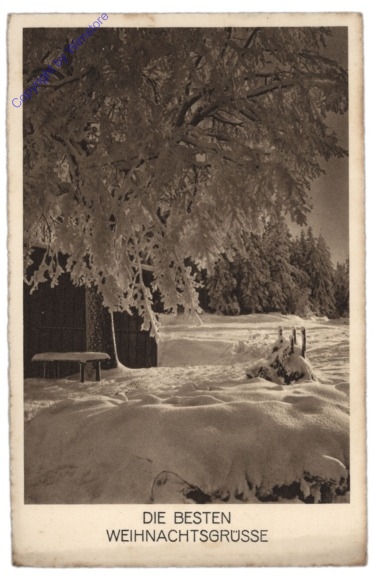 ak109870 Verschneiter Baum