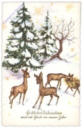 ak109879 Rehe bei der Fütterung