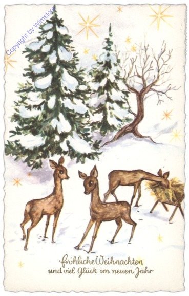 Rehe bei der Fütterung