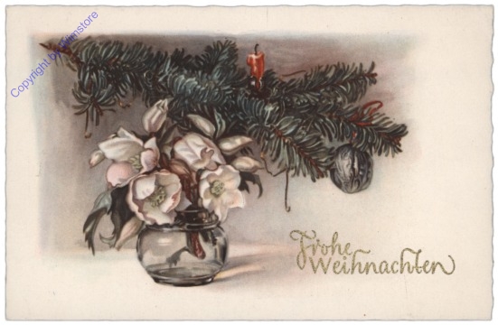 Vase mit Christrosen unter Tannenzweig