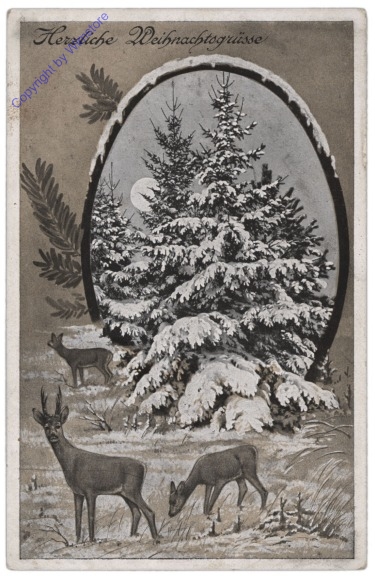 Rehe vor Tanne
