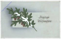 Zweig mit Zapfen und Schnee