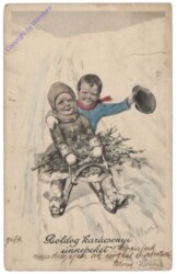 ak109911 Schlittenfahrt