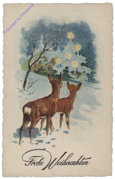 Rehe sehen sich die Lichter an