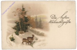 Rehe im Wald