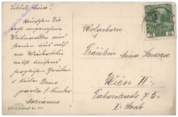 Zweige mit Zapfen und Schleife