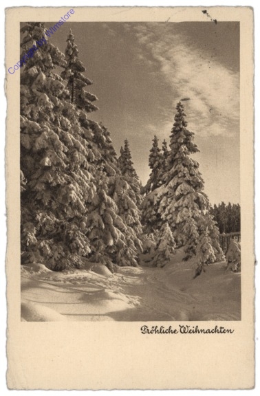 ak109945 Verschneite Tanne