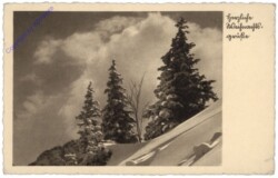 Verschneite Berge