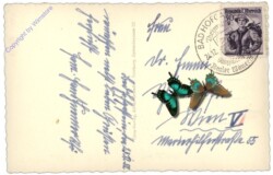 Bad Hofgastein, Ortsansicht