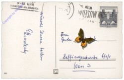 ak110006a Engerln packen ein Geschenk ein