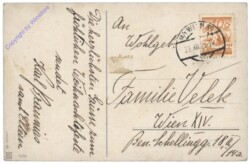 Blumenvase mit Gitarre und Büchern