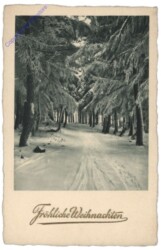 Verschneiter Waldweg