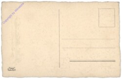 Verschneiter Waldweg