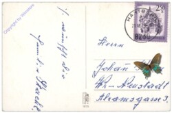 Verschneite Landschaft mit Kirche und Vögel