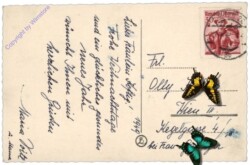 Verschneiter Bergweg