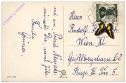 Zweig mit Blüten, Kerze und Lebkuchen