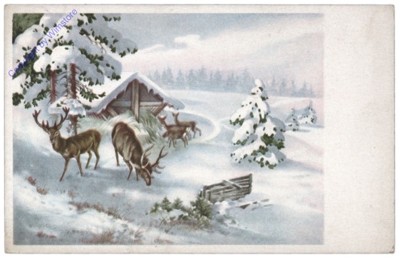 Rehe und Hirsche
