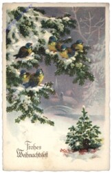 Vögel in den Ästen