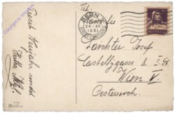 Vögel in den Ästen