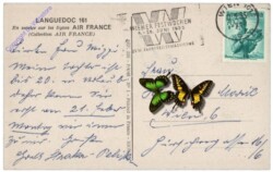 Air France, Languedoc 161