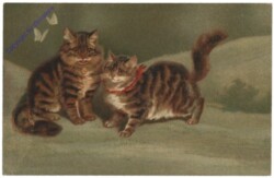 Zwei Katzen mit Schmetterlingen