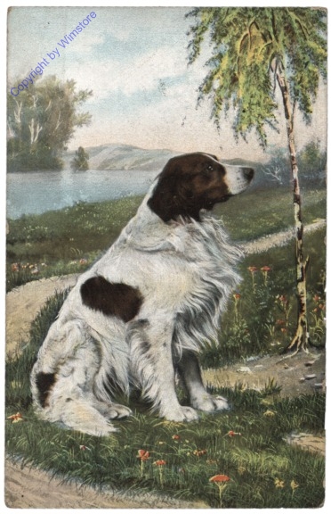 ak110331 Hund am Weg