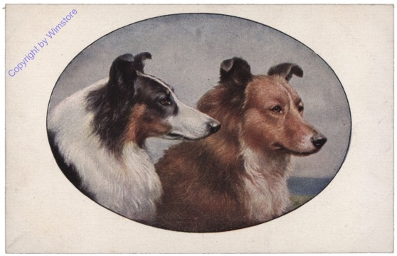 Zwei Hunde