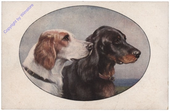 Zwei Hunde