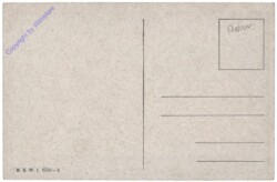 ak110359a Hund bringt die Beute