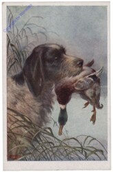 Hund bringt die Beute
