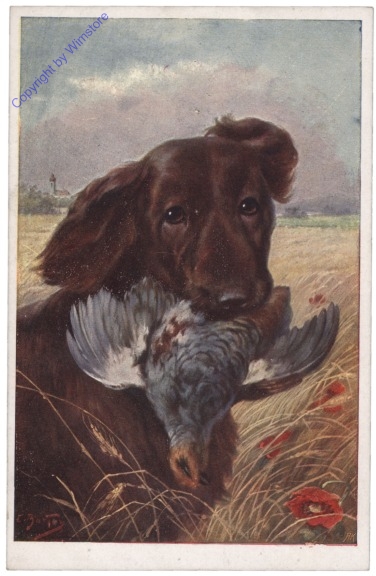 Hund bringt die Beute