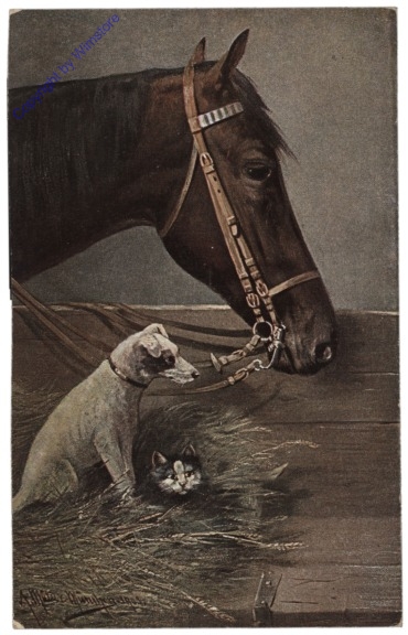 333. Pferd mit Hund und Katz