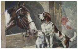 152-4. Pferd mit Hund und Katz