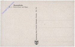 Rassepferde 1: Hannoveraner und Ungar