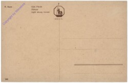ak110435a 285. Edle Pferde