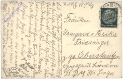 Küssen ist keine Sünd. Selbst nicht beim lieben Rind