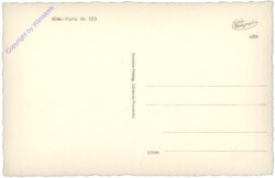 ak110469a Schwäne - Stelldichein