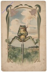 Frosch auf Einrad, Reliefkarte