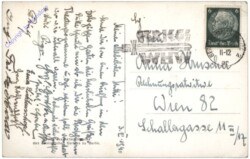 Zoologischer Garten Berlin, Junger Löwe