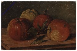Äpfel