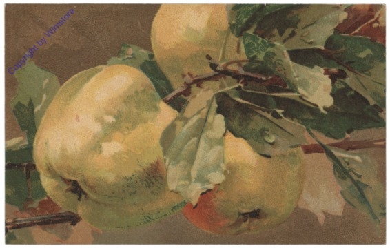 Äpfel