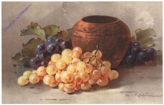 Rote und weisse Trauben