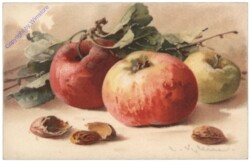 Äpfel und Nüsse
