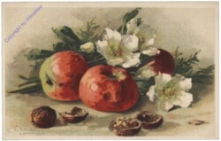 Äpfel und Nüsse