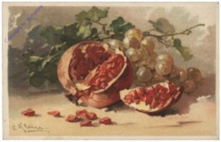 Granatapfel mit Trauben