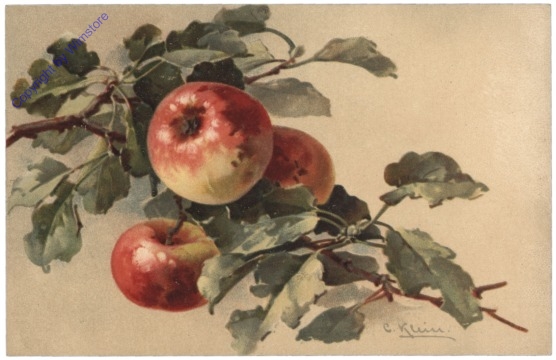Äpfel