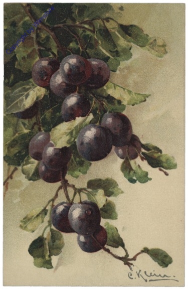 Jostabeeren
