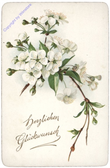 Weiss blühender Zweig, Glückwunschkarte