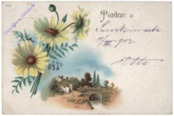 Sonnenblume